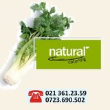 Natural Catering - Catering zilnic si evenimente